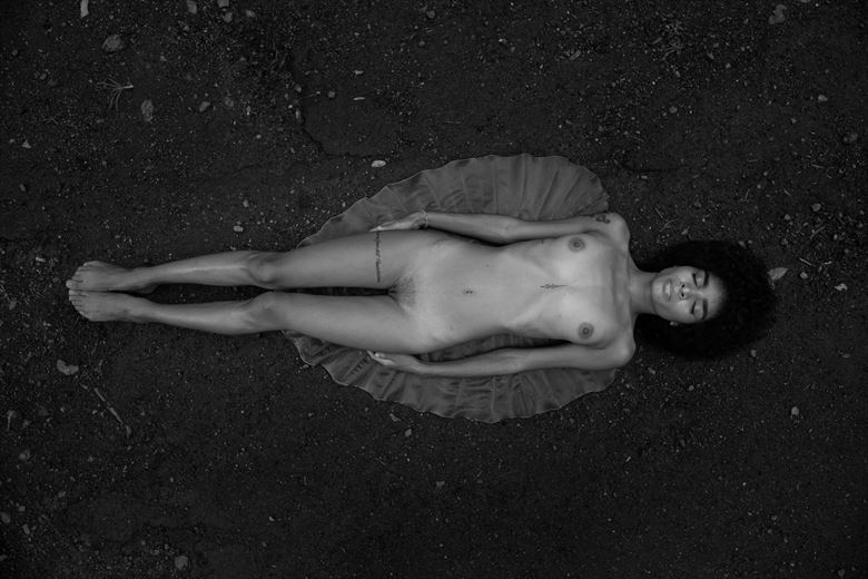 angel in the ground artistic nude photo by photographer jjpr