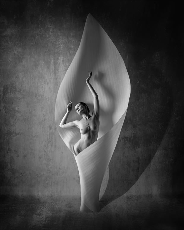 anne duffy artistic nude photo by photographer ncp photography