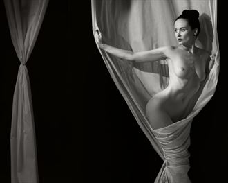 anne duffy crop artistic nude photo by photographer ncp photography