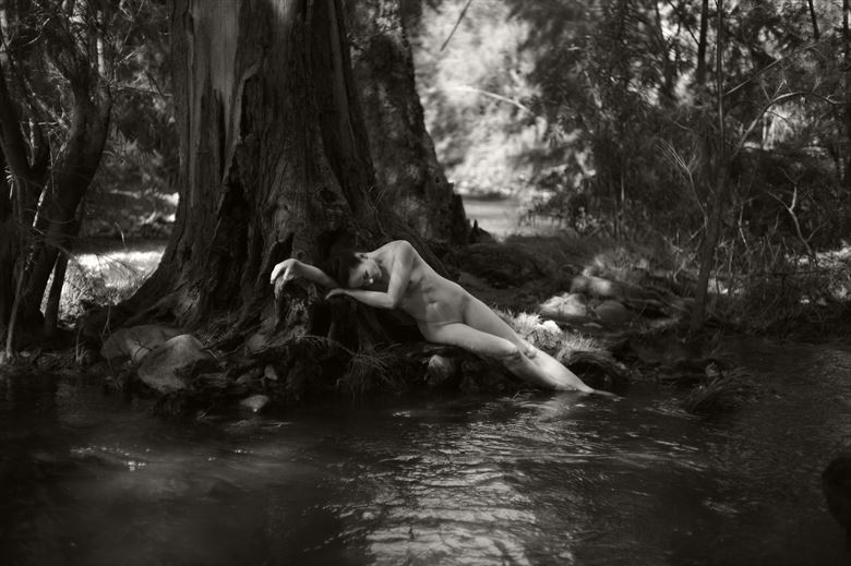 anne in nature artistic nude photo by photographer cowz