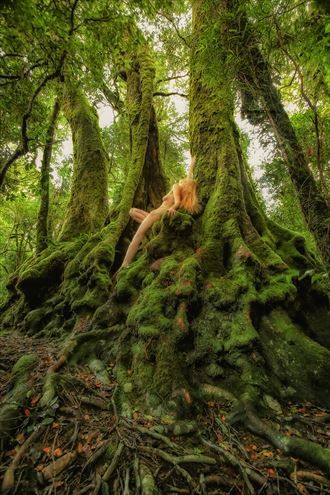 antarctic beech exhaltation artistic nude photo by photographer treegirl