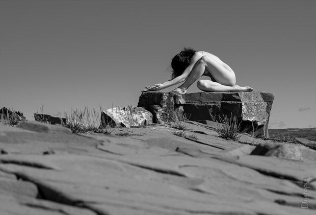 anthrisque outdoor artistic nude artwork by photographer dystopix photo