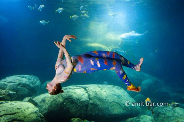 aquarium artistic nude artwork by photographer bodypainter