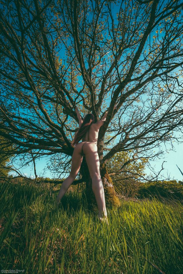 arbor artistic nude photo by photographer anders nielsen