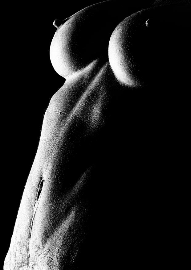 ariel bodyscape nude ii artistic nude photo by photographer jeff crass photo