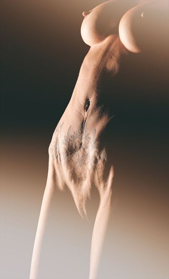 ariel bodyscape nude vii artistic nude photo by photographer jeff crass photo