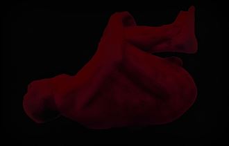 artistic nude abstract artwork by model gerardm
