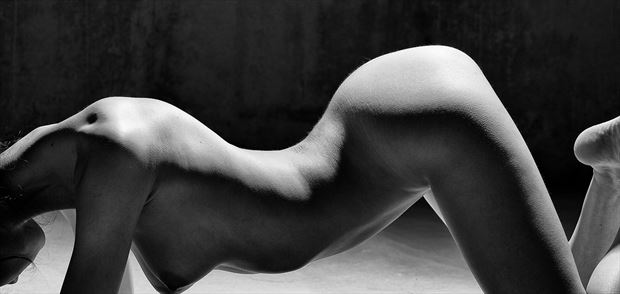 artistic nude abstract artwork by model vittoria