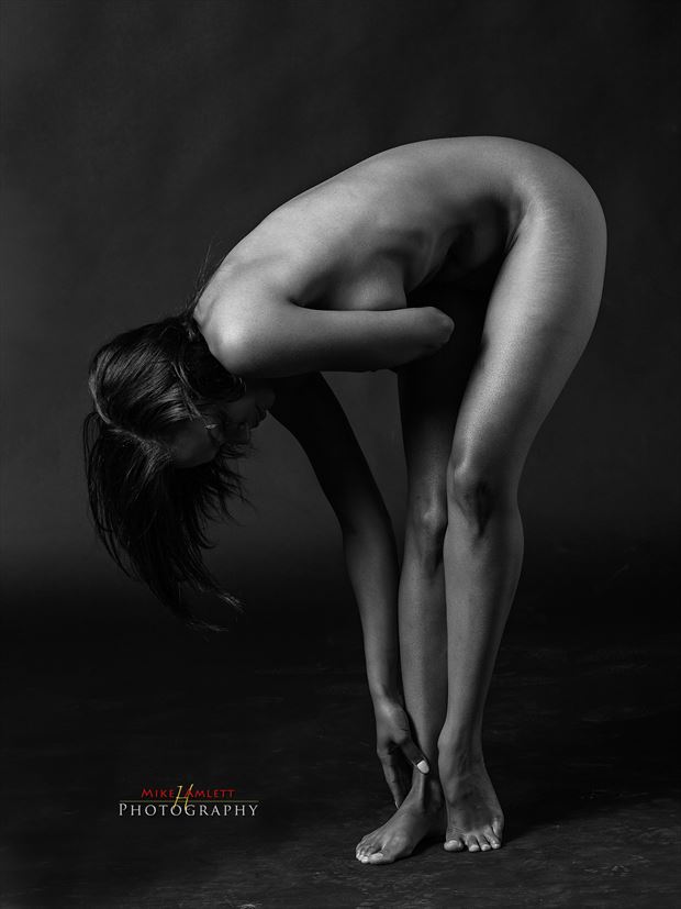 artistic nude abstract artwork by photographer mehamlett