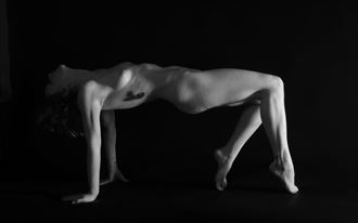 artistic nude abstract photo by model copper penny