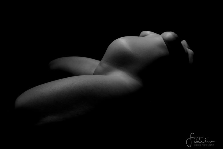 artistic nude abstract photo by model laura j draycon 