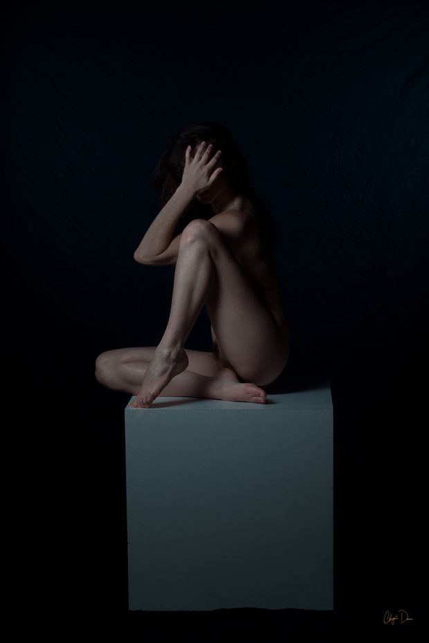 artistic nude abstract photo by model sirena e wren