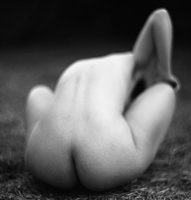 artistic nude abstract photo by photographer dwayne martin