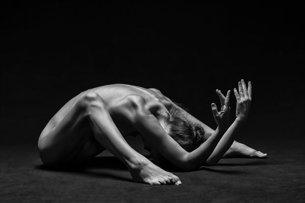 artistic nude abstract photo by photographer longleaf imagery