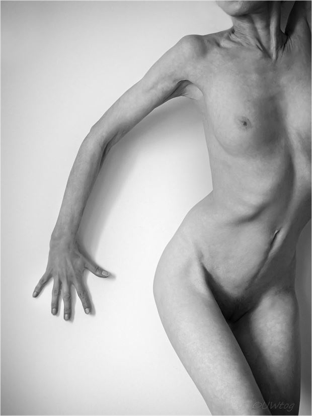 artistic nude abstract photo by photographer uwtog