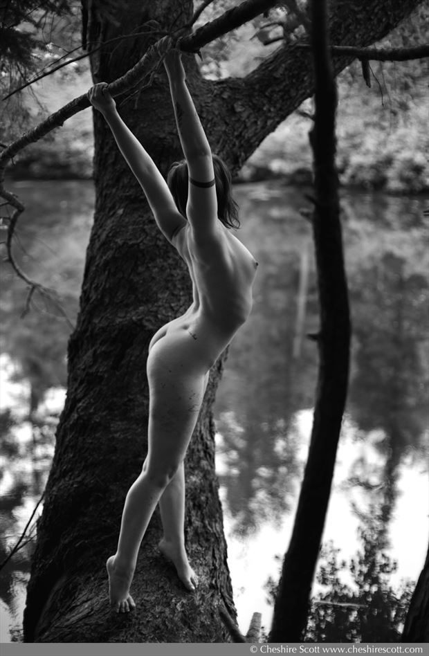 artistic nude alternative model photo by photographer cheshire scott