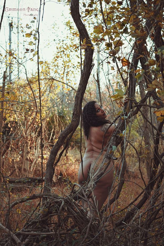 artistic nude alternative model photo by photographer fayev