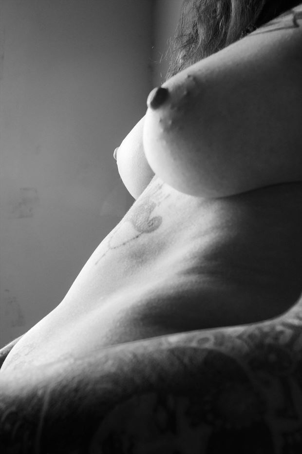 artistic nude artistic nude photo by model khandice nikole