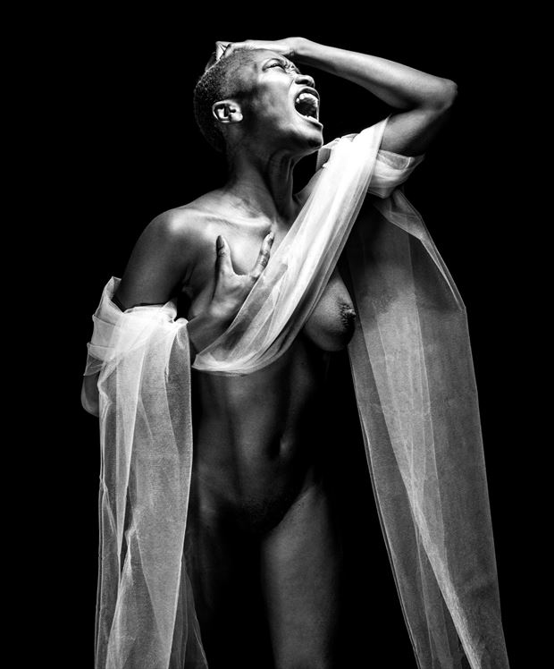 artistic nude artwork by photographer daniel meshel