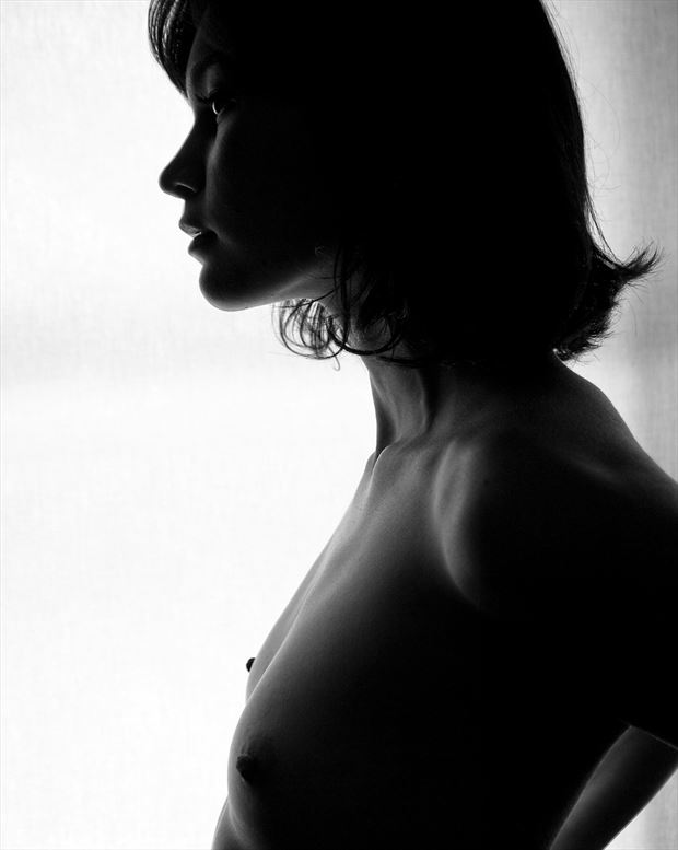 artistic nude artwork by photographer fotovizual