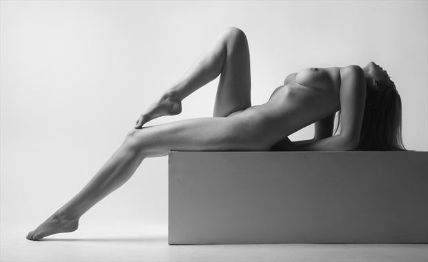 artistic nude artwork by photographer guy carnegie