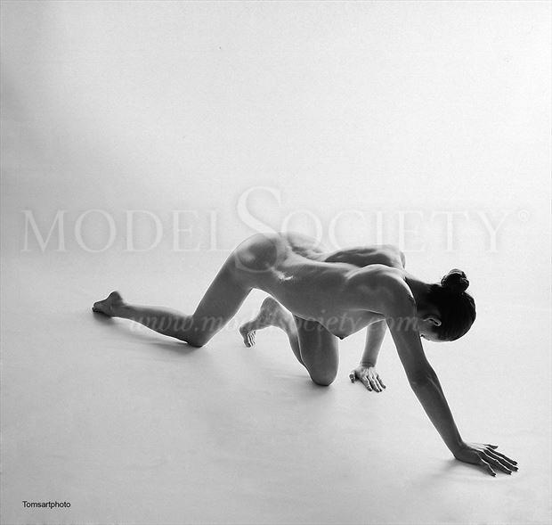 artistic nude artwork by photographer tomsartphoto