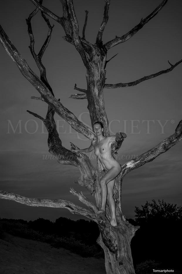 artistic nude artwork by photographer tomsartphoto