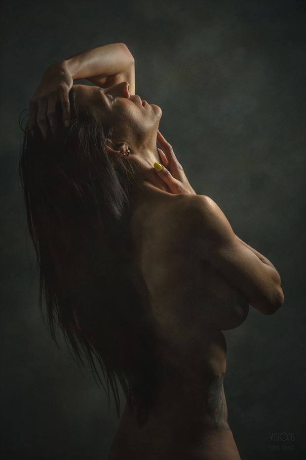 artistic nude chiaroscuro photo by photographer visions dt