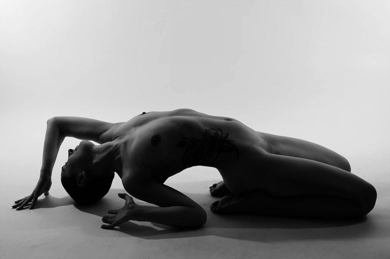 artistic nude digital photo by model linaill 