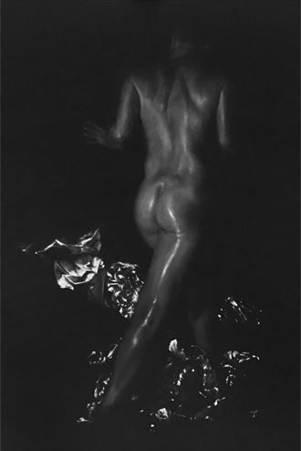 artistic nude erotic artwork by artist tai lin