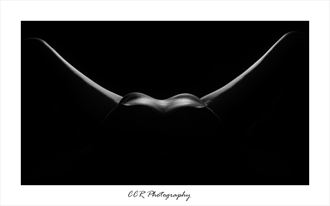 artistic nude erotic artwork by photographer stopher002