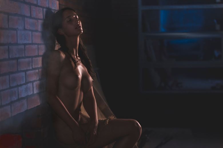 artistic nude erotic photo by model anna dark
