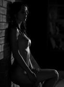 artistic nude erotic photo by model anna dark