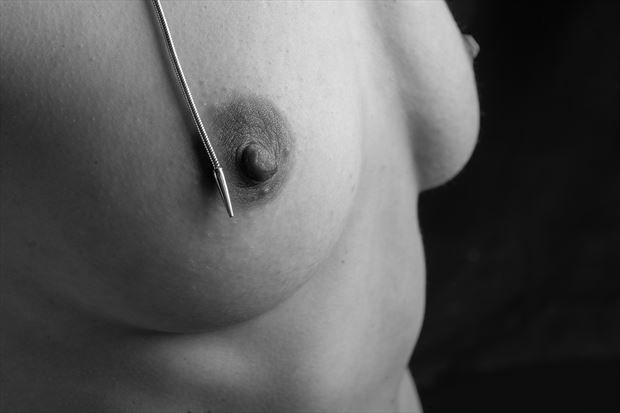 artistic nude erotic photo by model suneadura