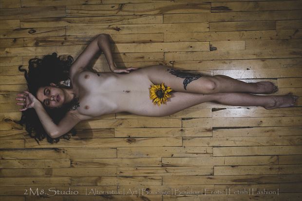 artistic nude erotic photo by photographer 2m8 studio