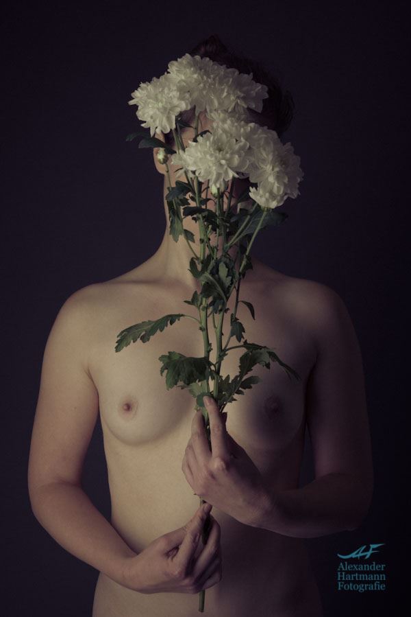 artistic nude erotic photo by photographer alexanderehartmannfotografie