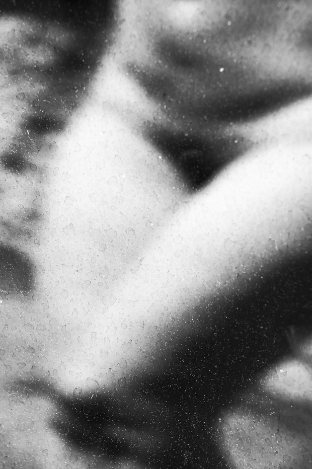 artistic nude erotic photo by photographer bredak