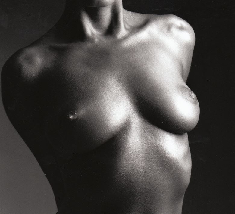artistic nude erotic photo by photographer macro