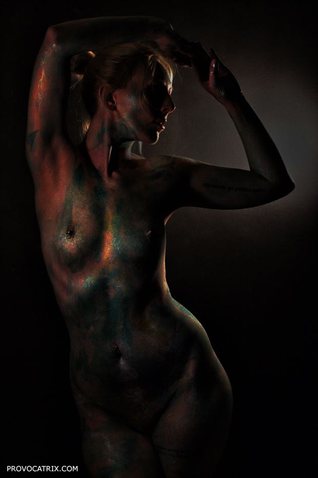 artistic nude erotic photo by photographer provocatrix