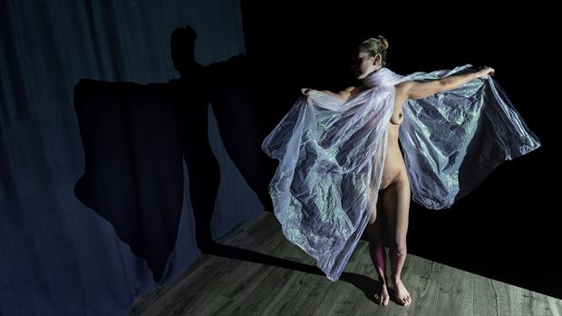 artistic nude erotic photo by photographer sherri hulse