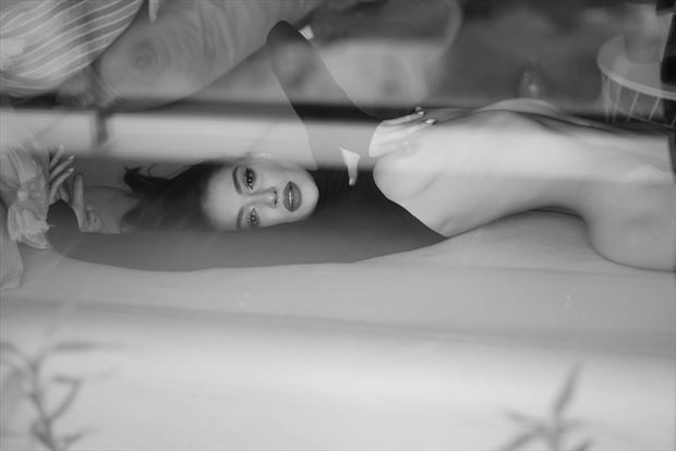 artistic nude erotic photo by photographer vlad mihailescu
