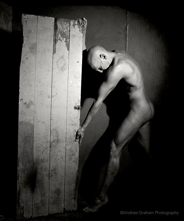 artistic nude figure study photo by model avid light