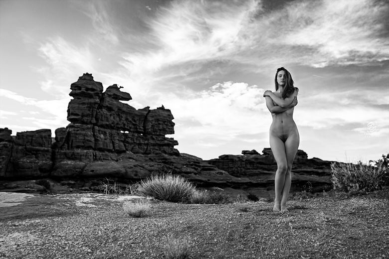 artistic nude figure study photo by photographer craftedpixelstudios