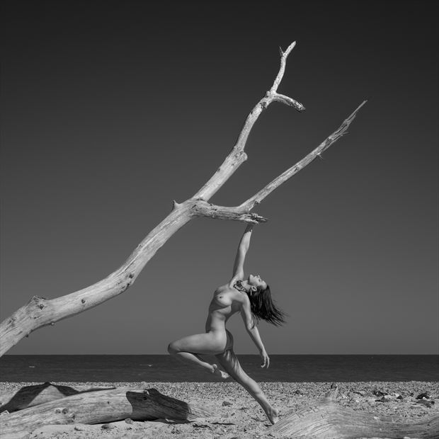 artistic nude figure study photo by photographer eastcoastwest