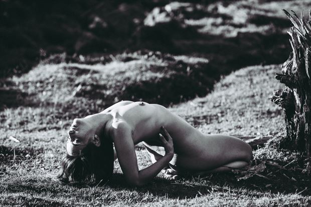 artistic nude figure study photo by photographer photogenick