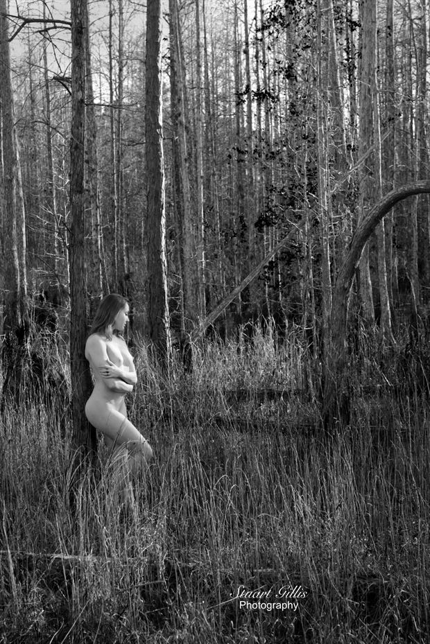 artistic nude figure study photo by photographer stuart f gillis
