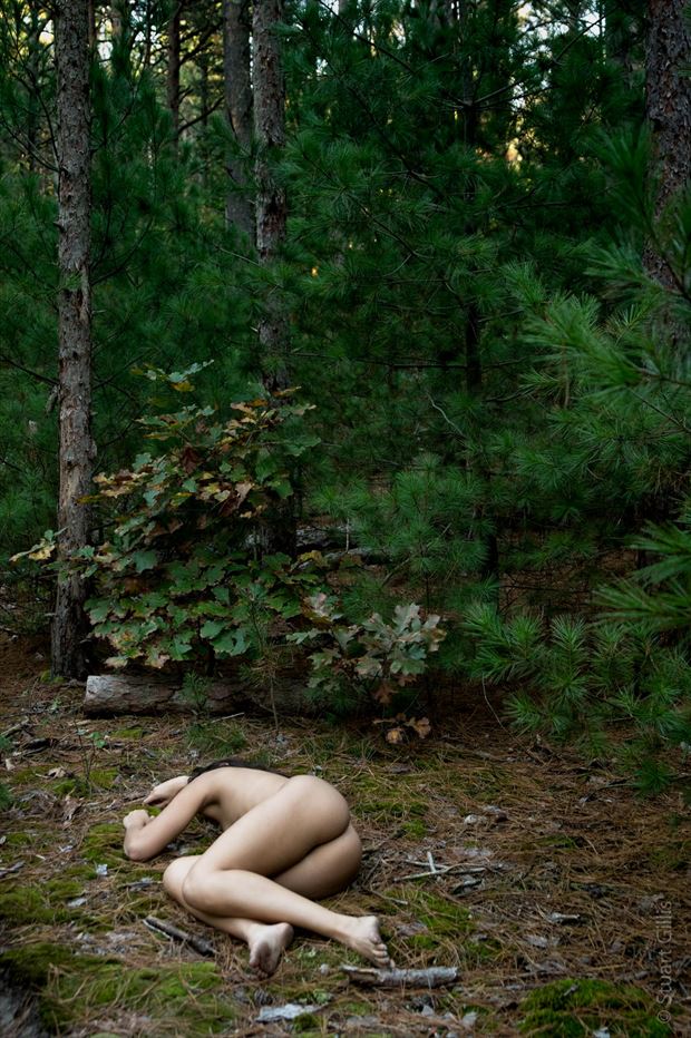 artistic nude figure study photo by photographer stuart f gillis