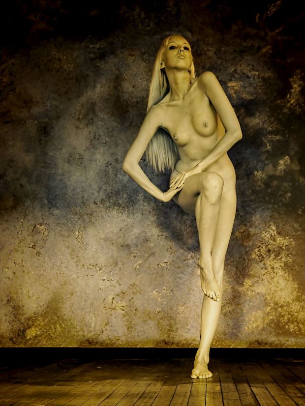 artistic nude figure study photo by photographer yevette hendler