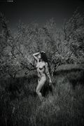 artistic nude figure study photo by photographer zach rose