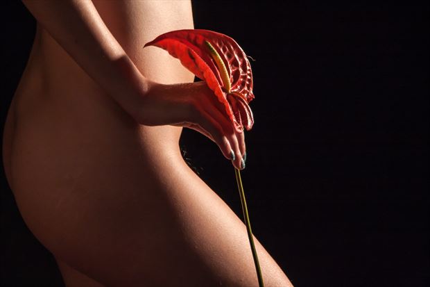 artistic nude glamour artwork by photographer yoga chang
